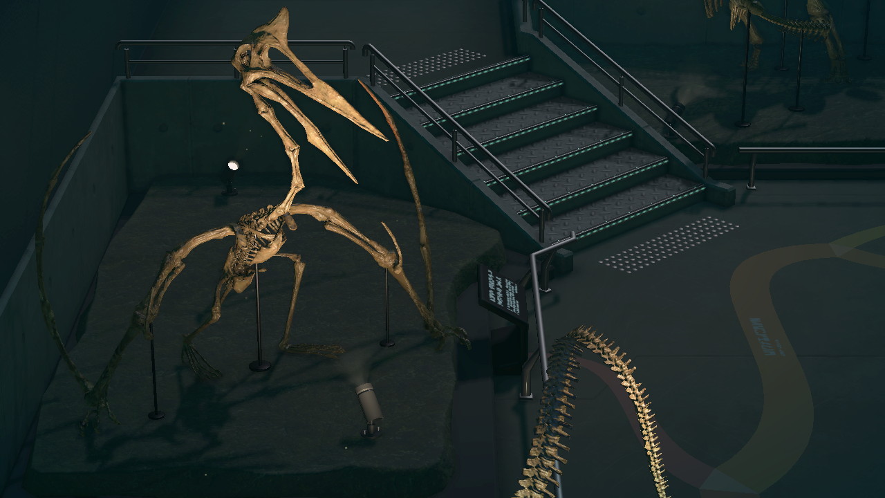 Quetzal Dinosaur Skeleton