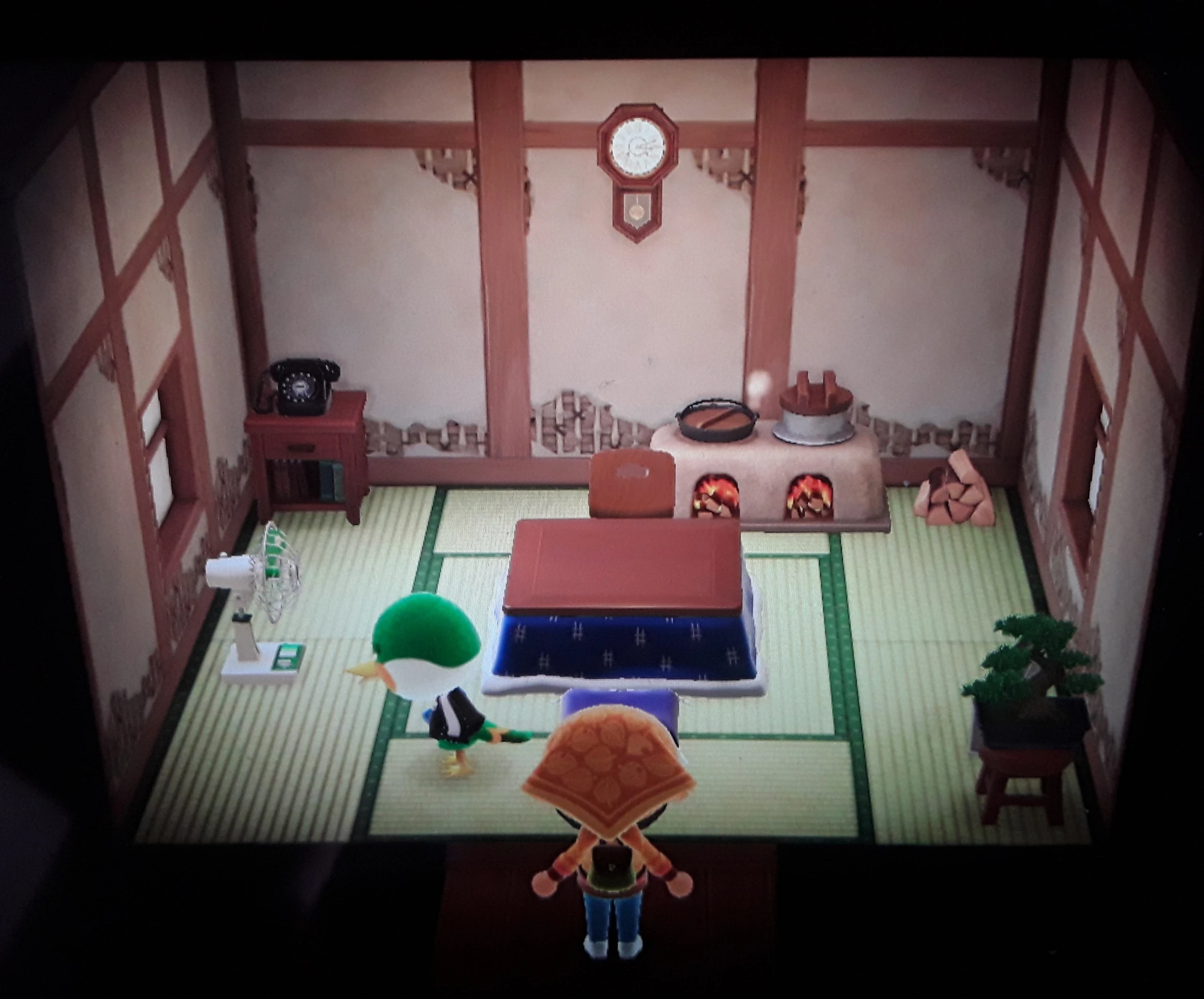 Admiral/Gallery | Animal Crossing Wiki | Fandom