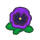 NH-purple pansies-icon