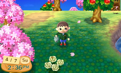 Cherry Blossom Festival | Animal Crossing Wiki | FANDOM ...