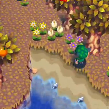 giant clam shell animal crossing