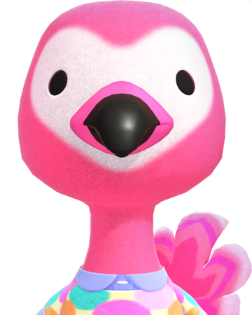 Flamingo Song English Version