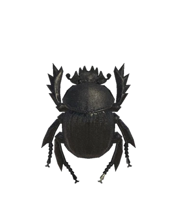 Earth Boring Dung Beetle Animal Crossing Wiki Fandom