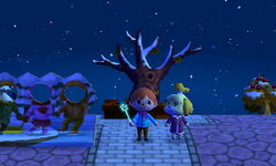 Winter Solstice
