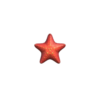 Étoile de mer | Animal Crossing Wiki | Fandom