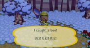 animal crossing city folk how to catch a bee