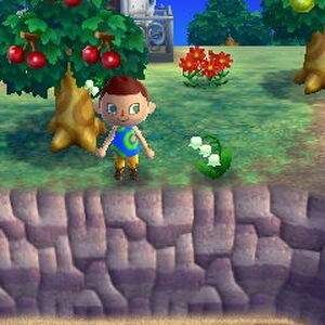 Jacob S Ladder Animal Crossing Wiki Fandom
