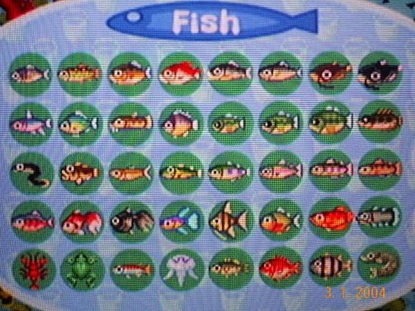Fish | Animal Crossing Wiki | FANDOM powered by Wikia