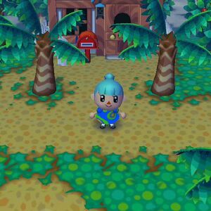 Grass Deterioration Animal Crossing Wiki Fandom