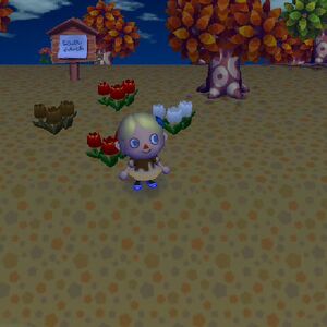 Grass Deterioration Animal Crossing Wiki Fandom