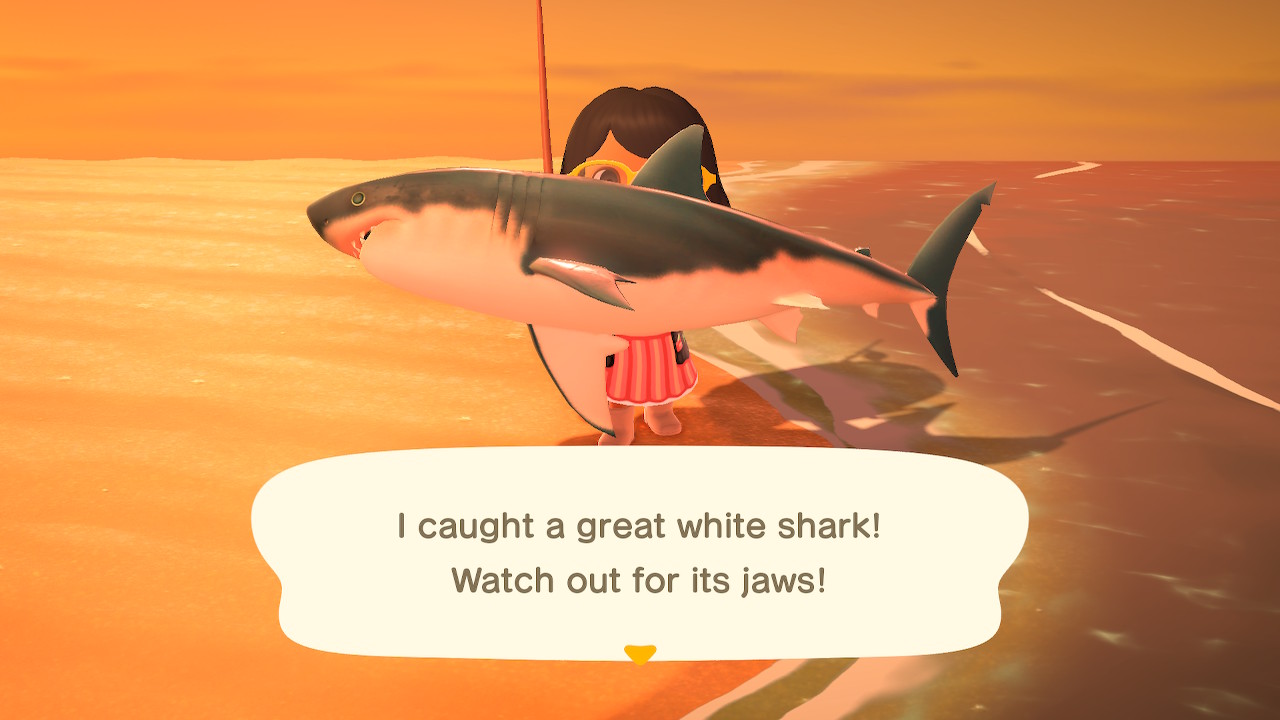 animal crossing switch shark
