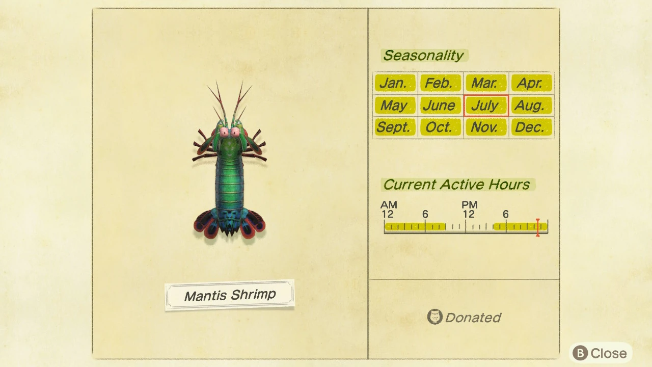 Mantis shrimp Animal Crossing Wiki Fandom