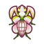 NH-Icon-orchidmantis