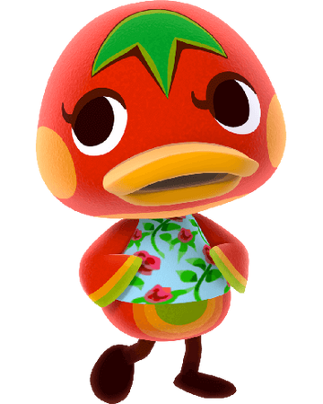 Ketchup Animal Crossing Wiki Fandom