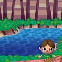 Holding Pond Animal Crossing Wiki Fandom