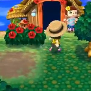 Bush Animal Crossing Wiki Fandom