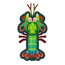 NH-Icon-mantisshrimp