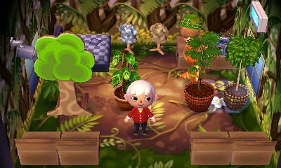 Comment Agrandir Sa Maison Dans Animal Crossing New Switch Test Animal Crossing New Horizons Gamesmarket Le