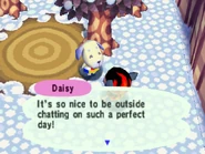 Daisy | Animal Crossing Wiki | FANDOM powered by Wikia