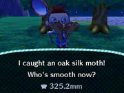 Animal Crossing New Leaf Oak Silk Moth Price Category Moths Animal Crossing Wiki Fandom