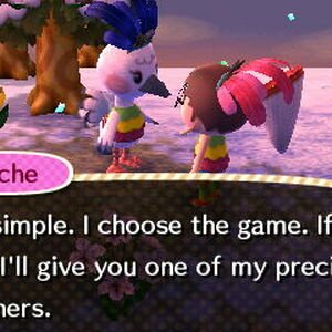 Festivale Animal Crossing Wiki Fandom