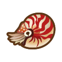 NH-Icon-chamberednautilus