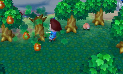 Image - HNI 0005 perfect fruit tree.JPG | Animal Crossing Wiki ...