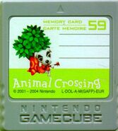 Animal