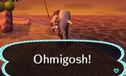 Whale shark | Animal Crossing Wiki | FANDOM powered by Wikia