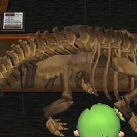 Fosiles Animal Crossing Enciclopedia Fandom