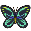 Queen Alexandra's Birdwing
