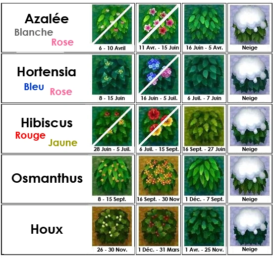 Buisson Animal Crossing Wiki FANDOM powered by Wikia