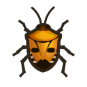 Man-Faced Stink Bug