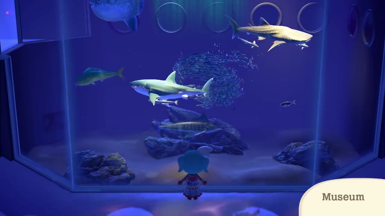 Poisson Animal Crossing Wiki Fandom