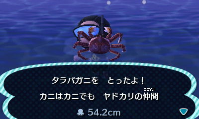 Image - Red king crab.jpg | Animal Crossing Wiki | FANDOM powered by Wikia