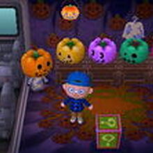 Jacqu O Animal Crossing Wiki Fandom
