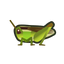 NH-Icon-ricegrasshopper