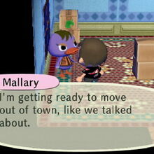 Mallary Gallery Animal Crossing Wiki Fandom