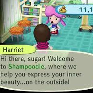 Esthétichien Animal Crossing Wiki Fandom