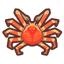 NH-Icon-spidercrab