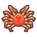 NH-Icon-spidercrab