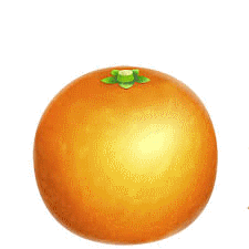 Orange | Animal Crossing Wiki | Fandom