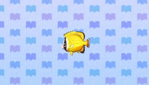 butterfly fish crossing animal wikia af nl cf ww ac wiki