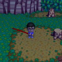 Hacked Distributed Items Animal Crossing Wiki Fandom