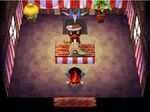 Sorteo en Animal Crossing (GameCube)
