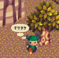Mushroom Animal Crossing Wiki Fandom