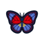 NH-Icon-agriasbutterfly