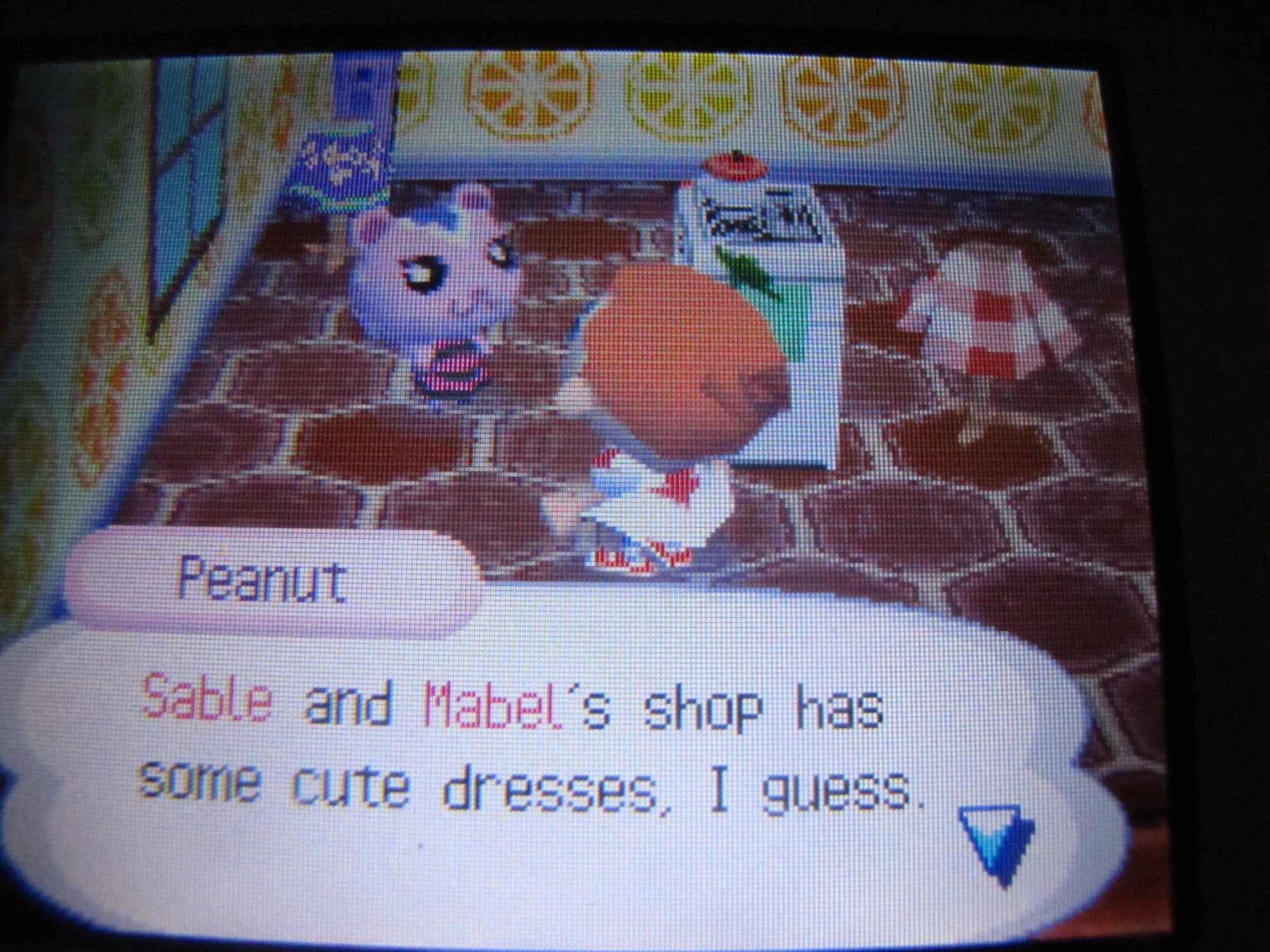 Image - Peanut.JPG | Animal Crossing Wiki | FANDOM powered by Wikia