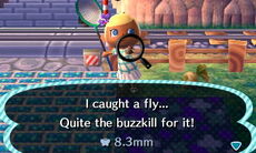 Fly catch