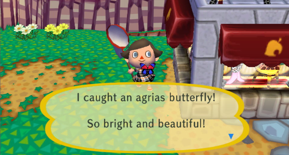 Agrias butterfly Animal Crossing Wiki FANDOM powered by Wikia